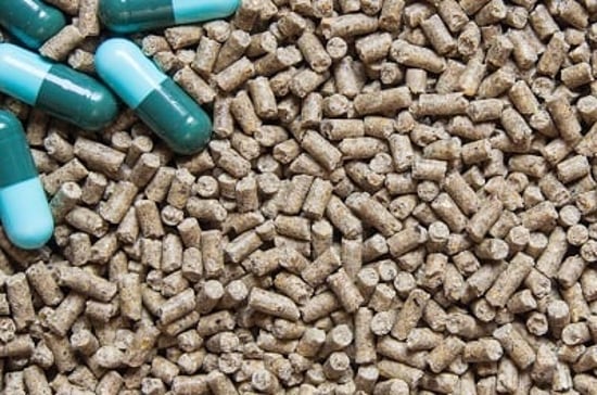 Animal feed pellets and antibiotic capsules