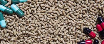 Animal feed pellets and antibiotic pill capsules