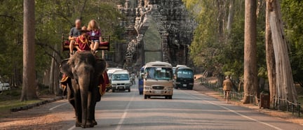 Elephant riding in Cambodia