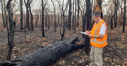 World Animal Protection's disaster team visiting bushfire affected areas south of Sydney