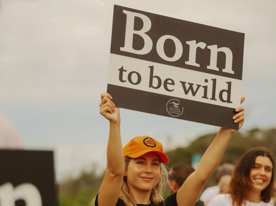 an Animal Protector World Animal Protection