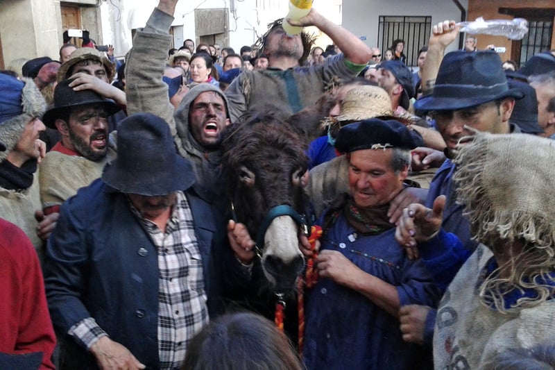 A donkey is traumatised in the Pero Palo festival