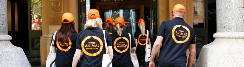 World Animal Protection team members walking into the Expedia office in Sydney
