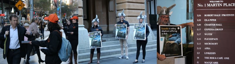 Sydney action calling on Expedia to stop selling holidays that harm elephants