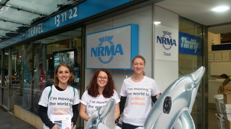 NRMA stops promoting cruelty at Dolphin Marine Magic