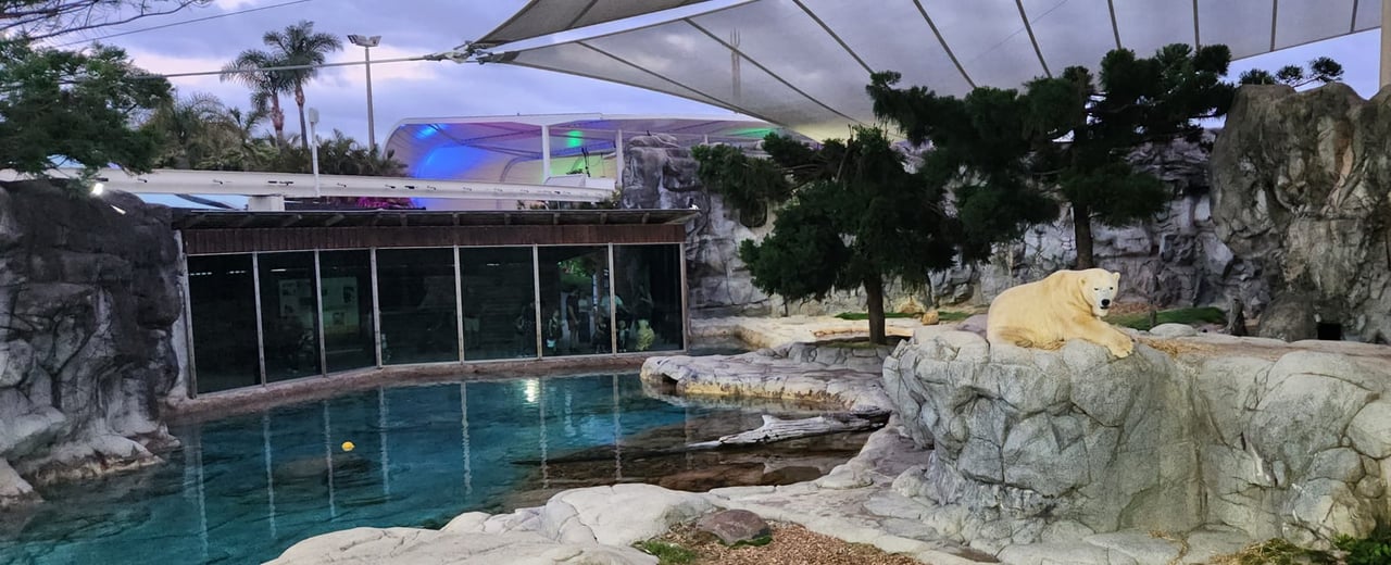 Polar bear enclosure at Sea World