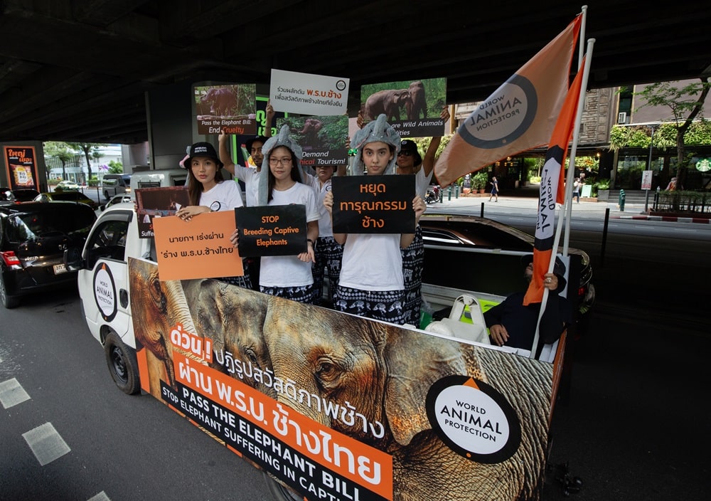 Pass the Elephant Bill petition handover, Bangkok Thailand
