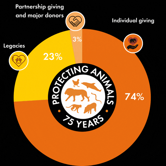 World Animal Protection income graph