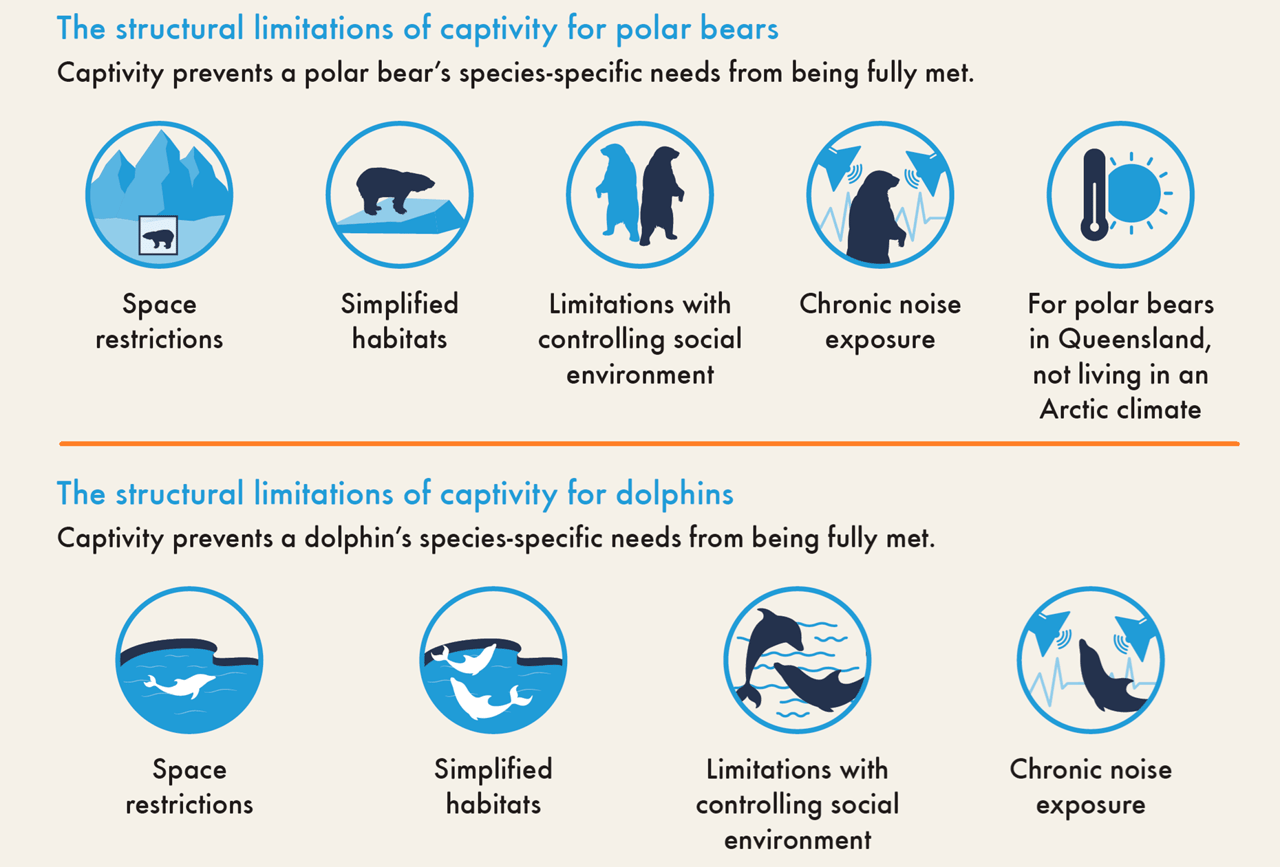 Structural limitations for captive dolphins and polar bears