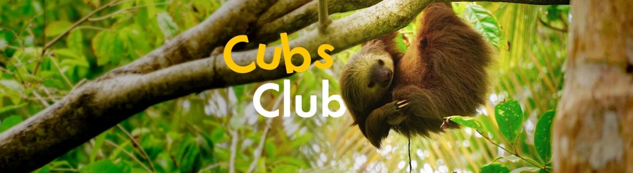 Cubs club activities for kids