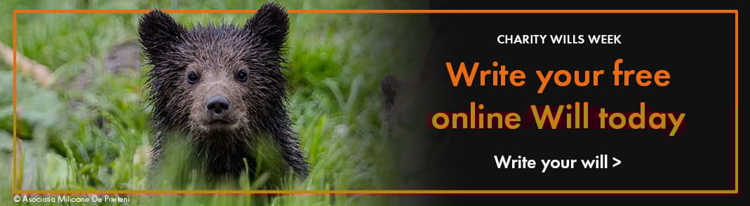 Write your free online Will today