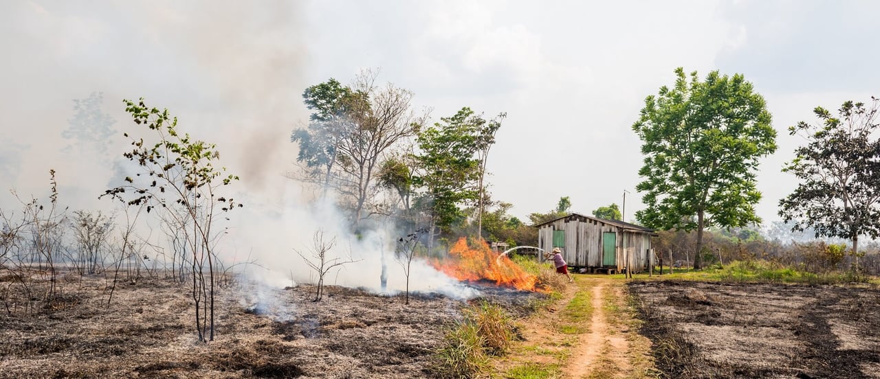 Brazil Amazon fires