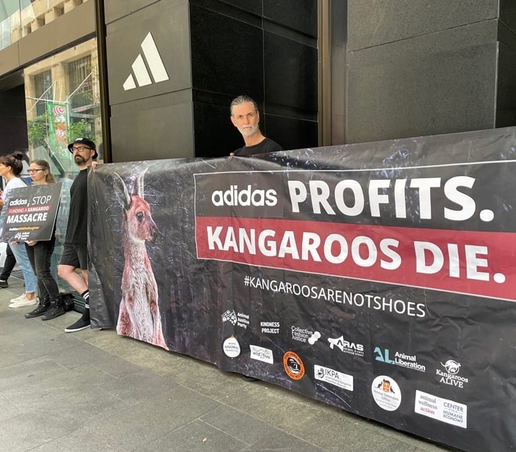 Adidas kangaroo protest