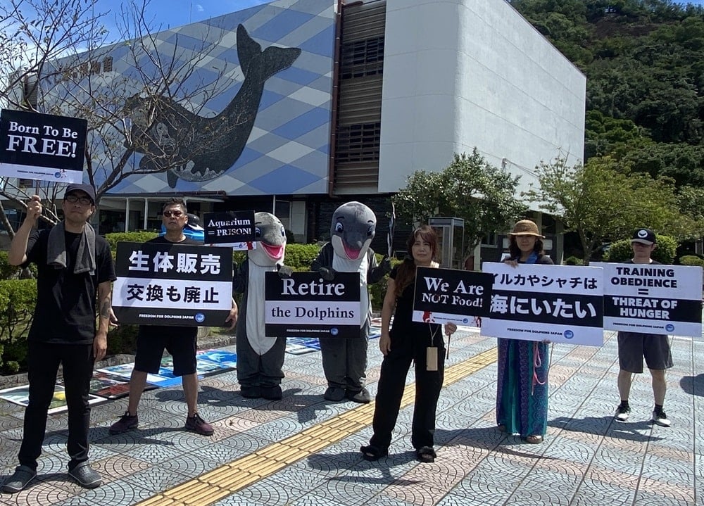 Captive dolphin protest, Taiji Whale Museum
