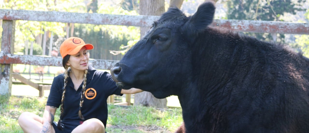 Staff member at Moo to Ewe sanctuary