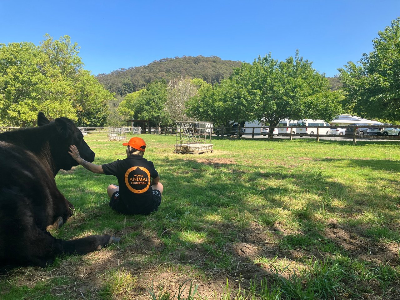 hero image - staff with AU chickens sanctuary 2