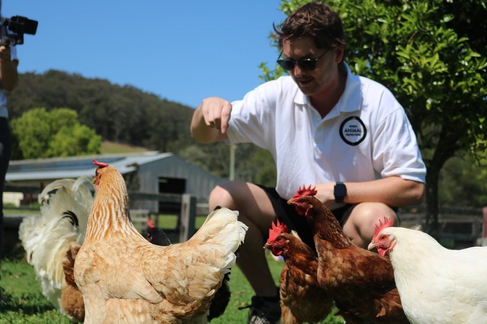 Staff with chickens at Moo to Ewe sanctuary