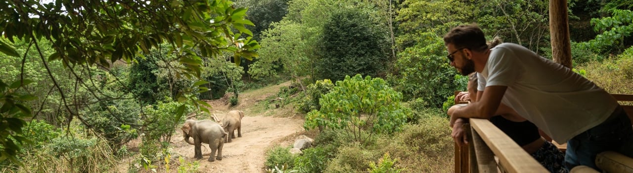 World Animal protection ambassador visiting a sanctuary