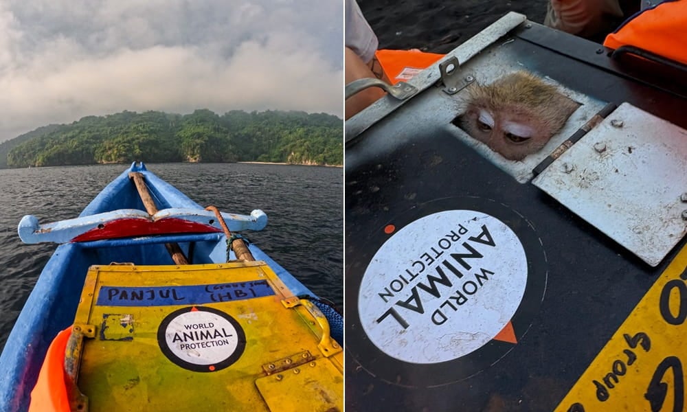 Monkey carrier heads the flotilla as Nusa Barung Island appears on the horizon