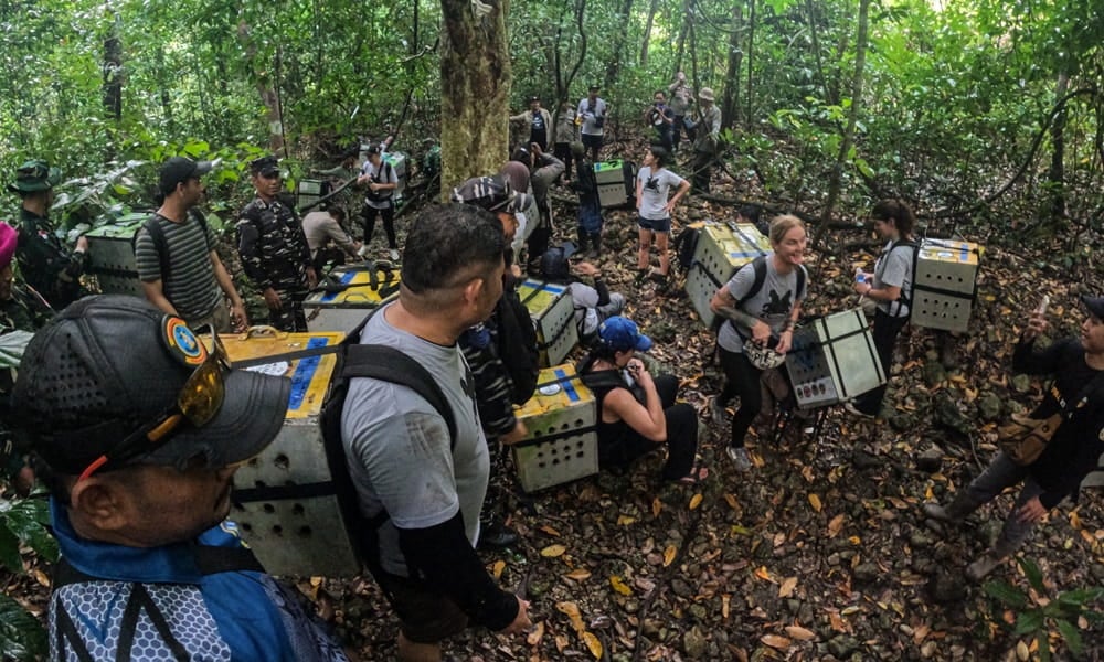 The JAAN team, supported by the army, treks through the jungle with the monkeys on their backs