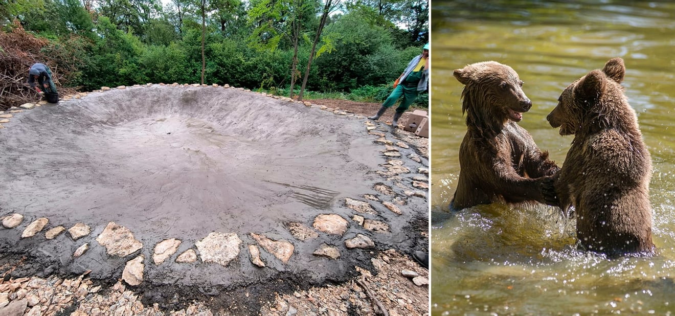 Libearty Sanctuary pool