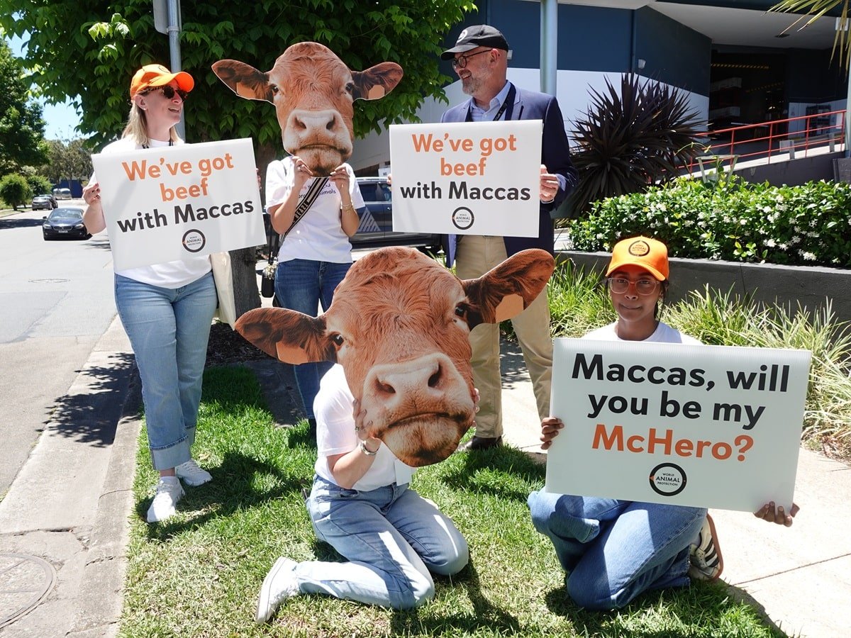 World Animal Protection staff outside of McDonalds