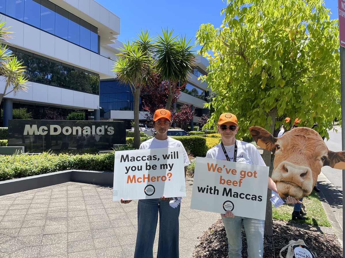 World Animal Protection staff outside of McDonalds