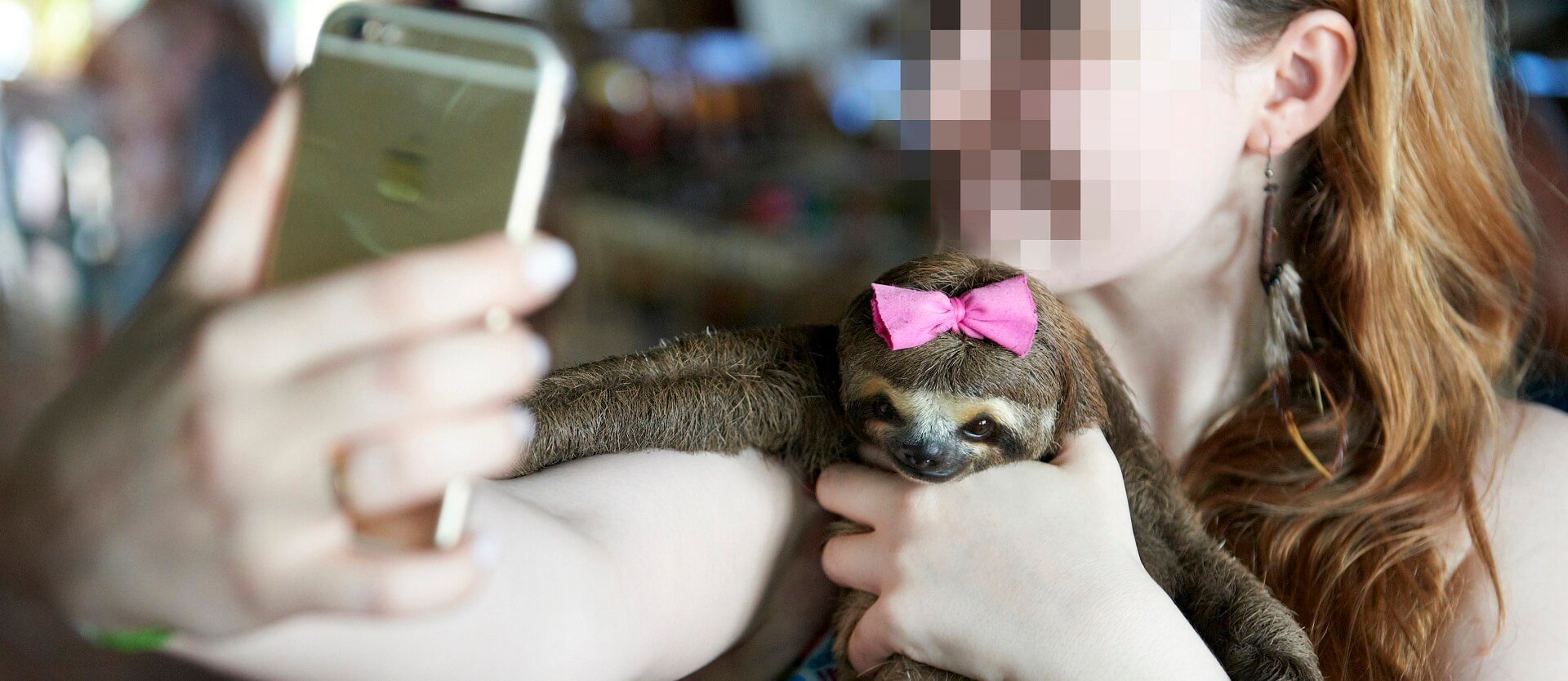 Sloth selfies in Manaus, Brazil