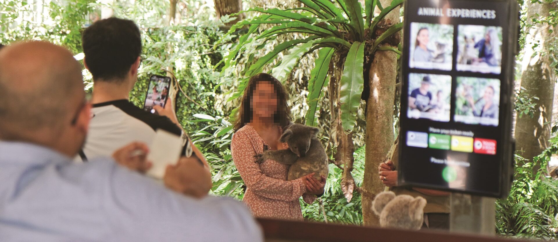 Koala cuddles at Lone Pine Australia