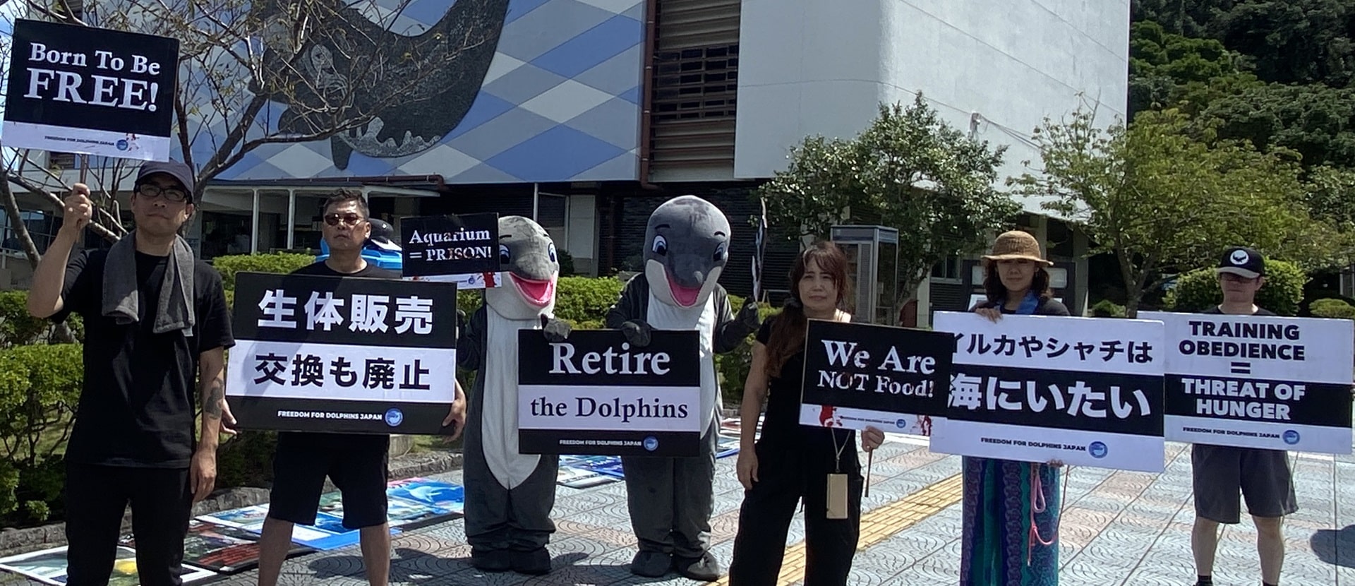 Dolphin captivity protest