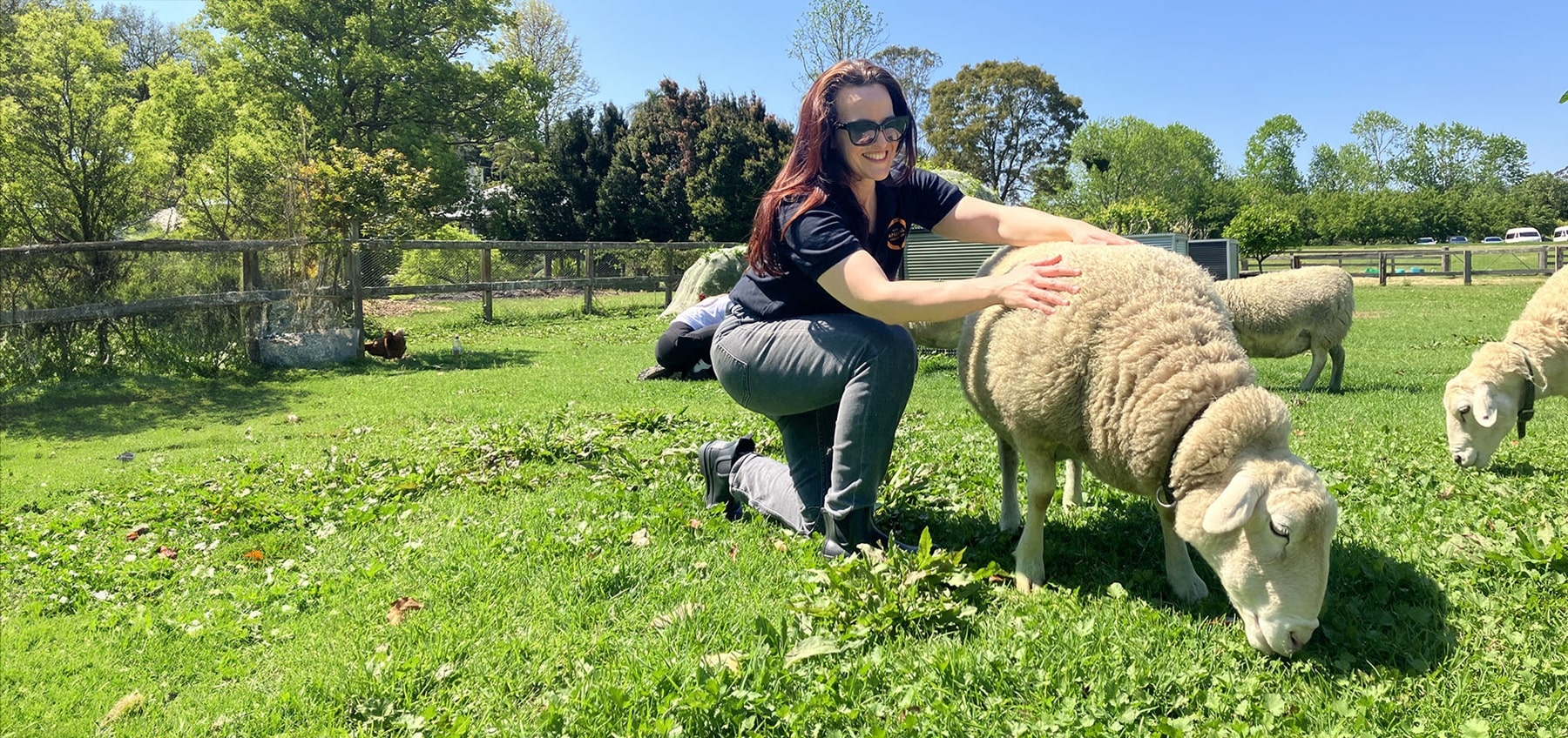 Staff member at Moo to Ewe sanctuary