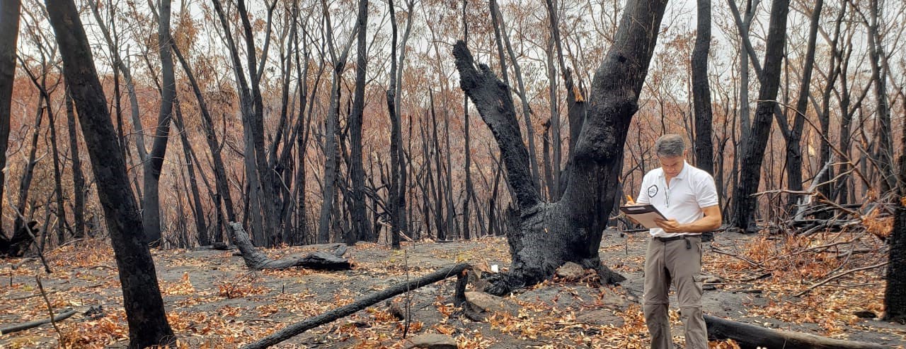 World Animal Protections disaster management team in bushfire affected areas south of Sydney assessing the impact of the fires