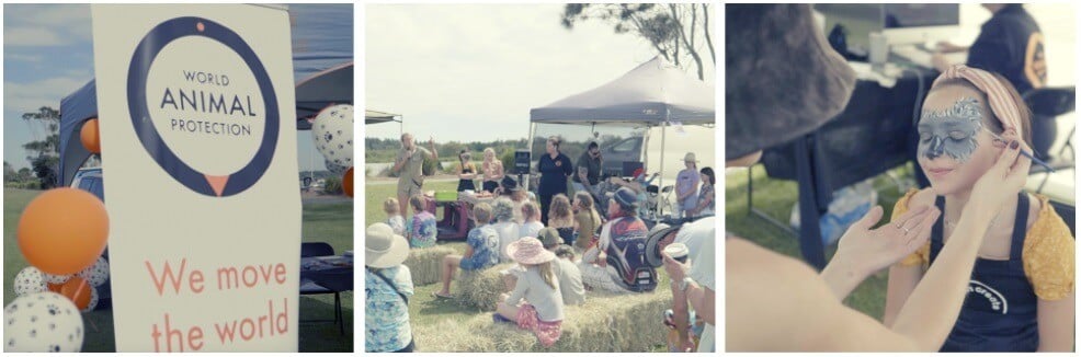 Activities at the bushfire preparedness event