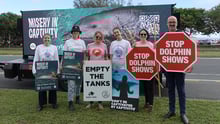 empty tank protest for dolphins in Sea World