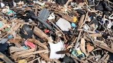 The plastic tide: does ghost gear add to the microplastics problem? | World Animal Protection