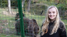 Evanna meeting some of the bears at the sanctuary
