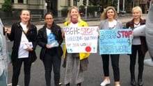 ban dolphin breeding protest