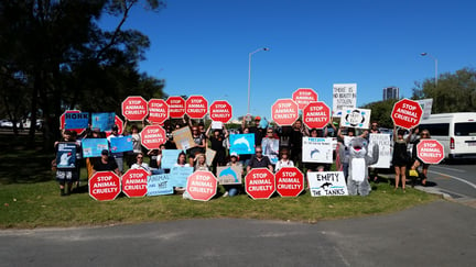 Protestors gather outside Sea World on the Gold Coast