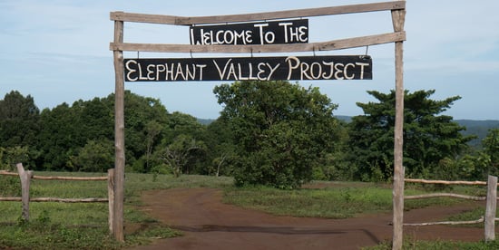 Elephant Valley Project, Mondulkiri, Cambodia