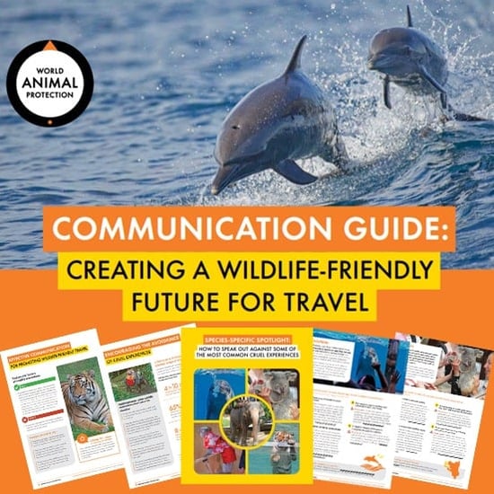 Wildlife tourism guide