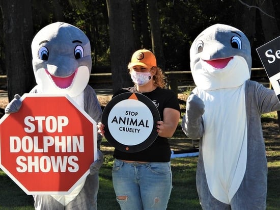 SeaWorld Protest