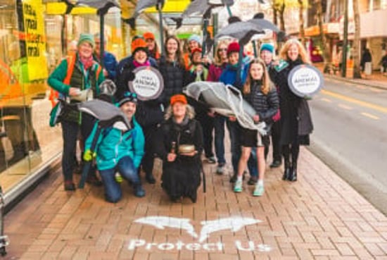 New Zealand volunteer street action