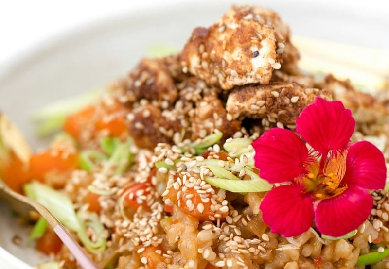 Tofu fried rice