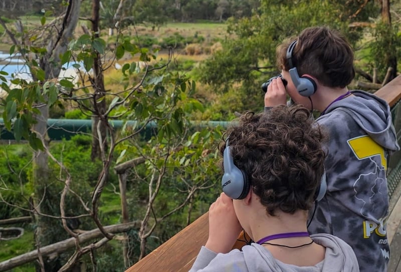 Children looking through binoculars at a wildlife friendly venue