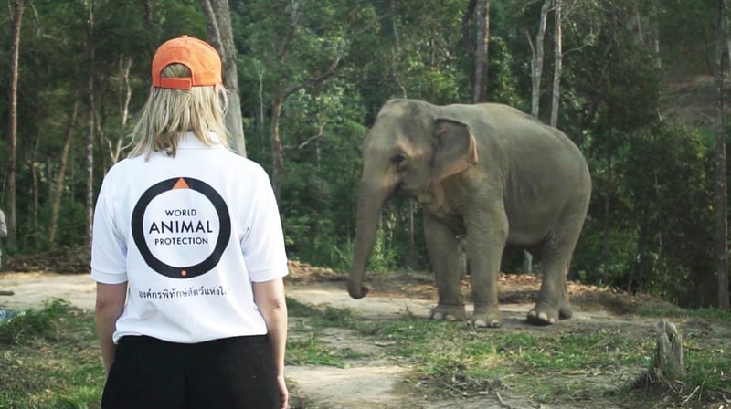 Mae Gohgea and Fran at Chang Chill elephant venue in Thailand