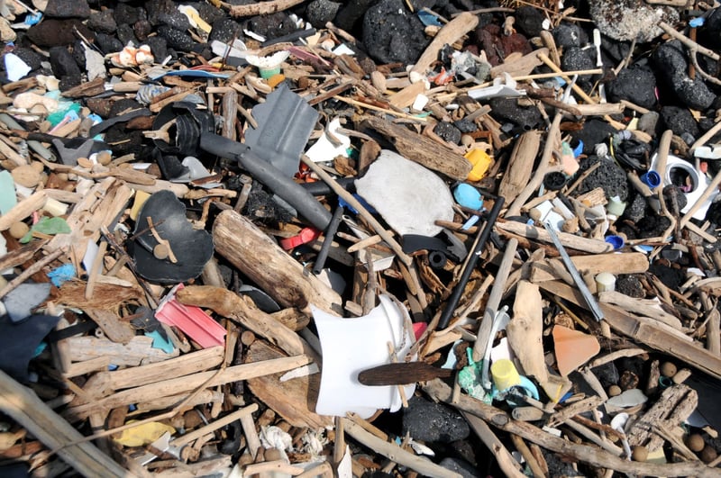 The plastic tide: does ghost gear add to the microplastics problem? | World Animal Protection