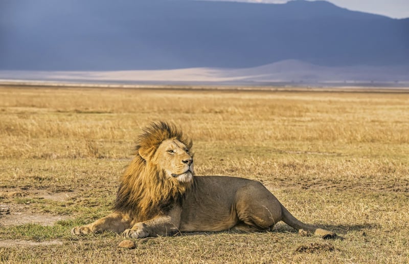 Two year after the death of cecil