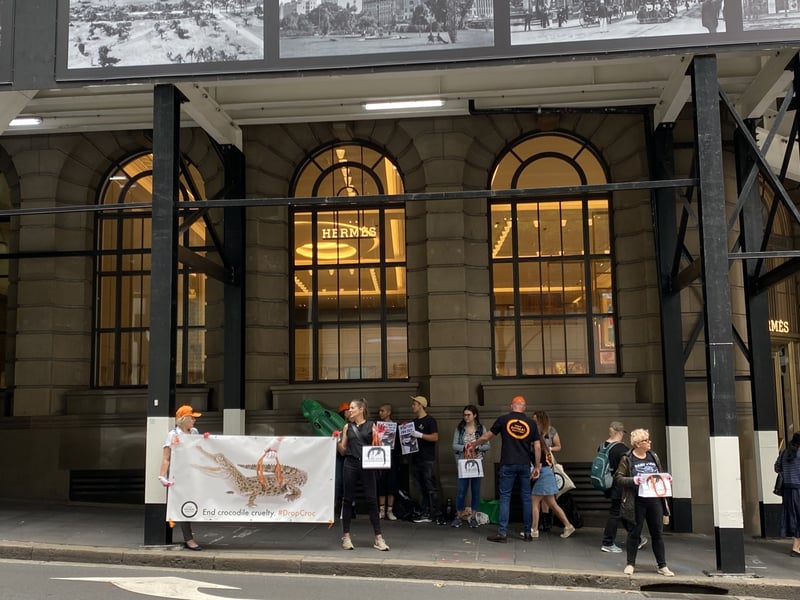 protesting crocodile cruelty in sydney
