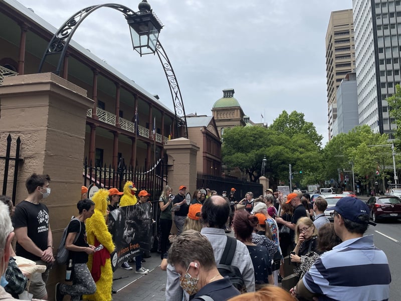 protest to ban battery cages