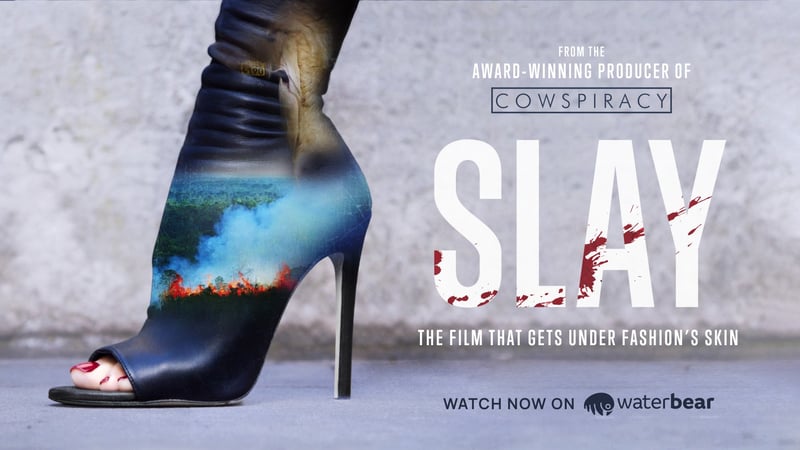 Slay documentary poster